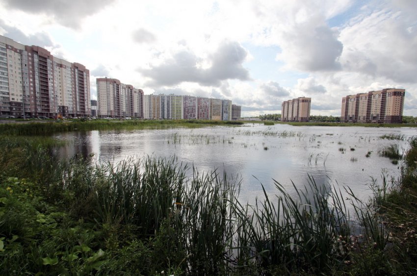 На месте золоотвала на Дальневосточном построят вторую школу - «Свежие новости строительства»