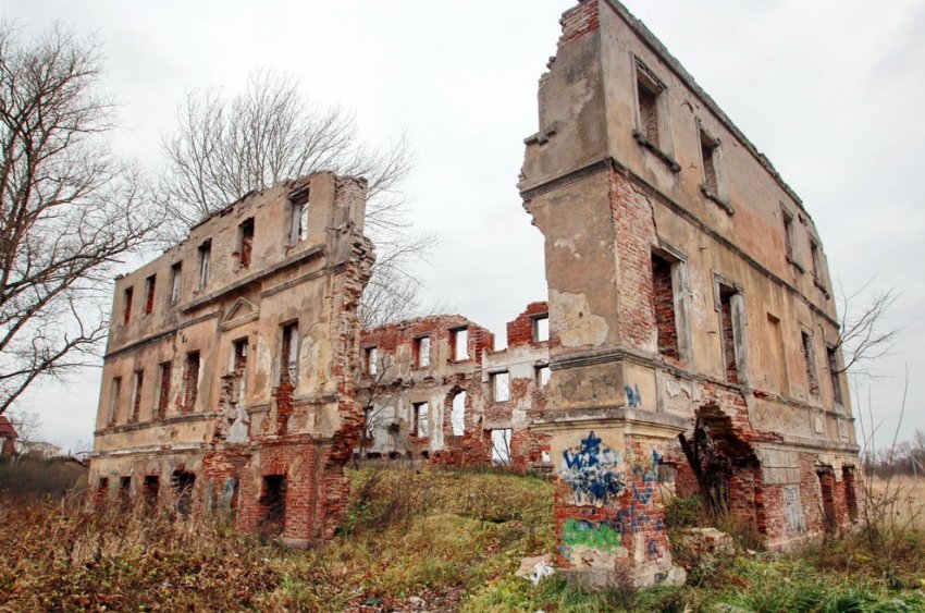 Власть попросила собственника восстановить дворец Александра I в Красном Селе - «Свежие новости строительства»
