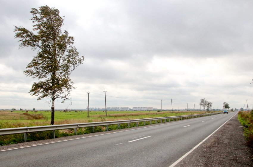 Поле на Ленсоветовской дороге застроят стрелковым комплексом - «Свежие новости строительства»