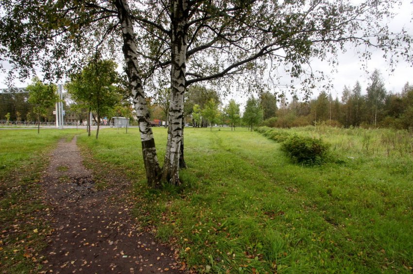 На Санкт-Петербургском шоссе в Стрельне появился ледовый комплекс - «Свежие новости строительства»