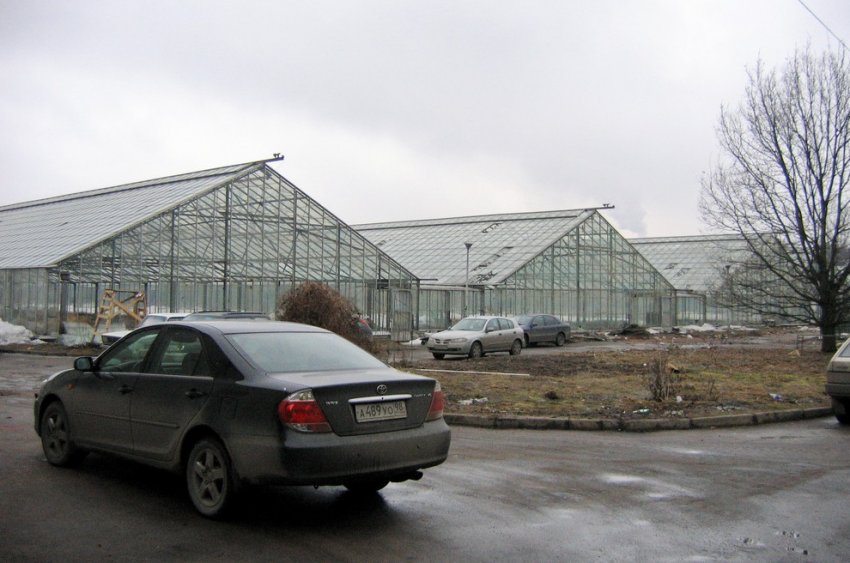 Музей обороны Ленинграда могут разместить в теплицах на Потемкинской - «Свежие новости строительства»