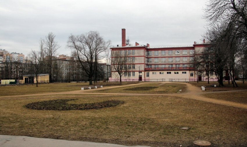 Сквер на Санкт-Петербургском шоссе в Стрельне застроят школой - «Свежие новости строительства»