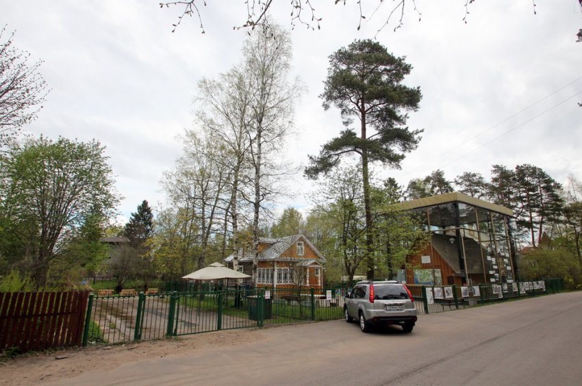 Музей «Сарай» в Сестрорецке хотят уплотнить новым зданием - «Свежие новости строительства»