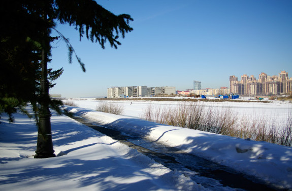 «Явара-Нева» незаконно строит спорткомплекс на Бычьем острове - «Свежие новости строительства»