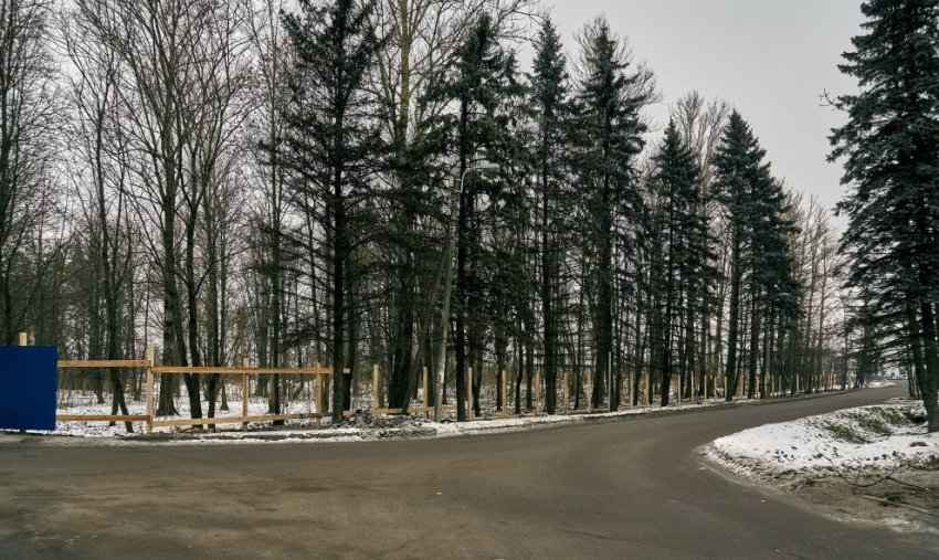 При строительстве жилого дома в Ленсоветовском сохранят лесок - «Свежие новости строительства»