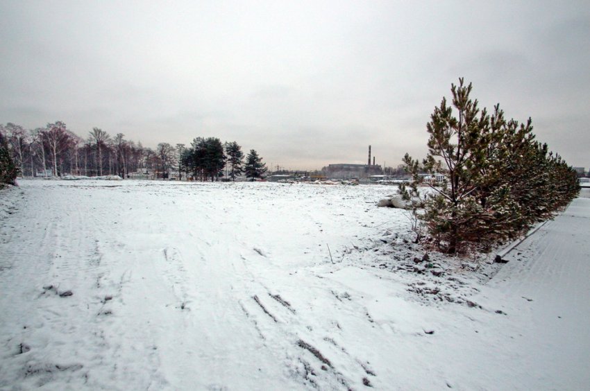 На Южной дороге снесли теннисный комплекс, а сосны от него оставили - «Свежие новости строительства»