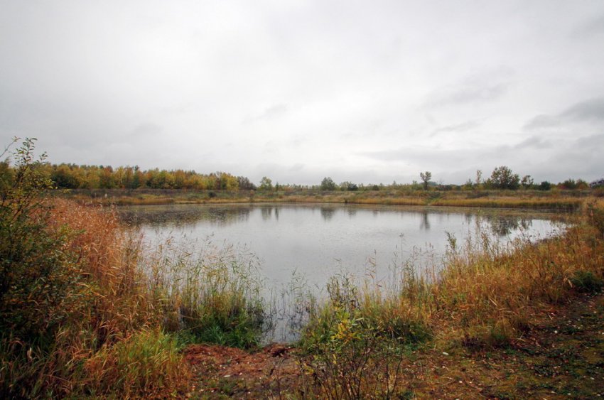 Setl Group получила разрешения на новые дома южнее обсерватории - «Свежие новости строительства»