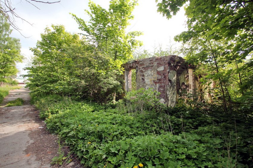 Фабричный Поселок в Красном Селе хотят сделать базой отдыха - «Свежие новости строительства»