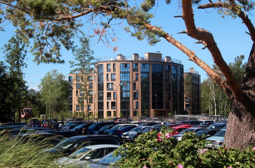 На территории пансионата «Дюны» в Сестрорецке сдали пять недожилых домов - «Свежие новости строительства»