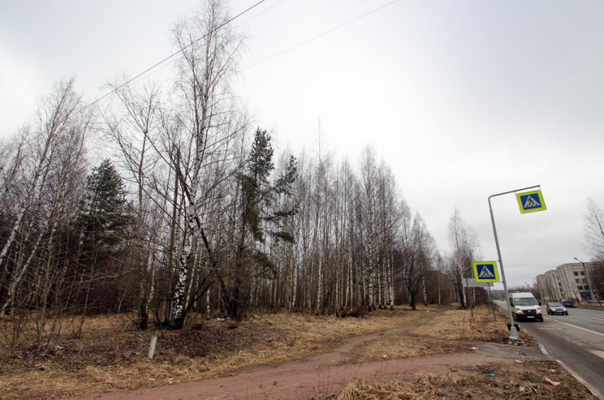 Возле кампуса СПбГУ на Ульяновской в Петергофе построят церковь - «Свежие новости строительства»