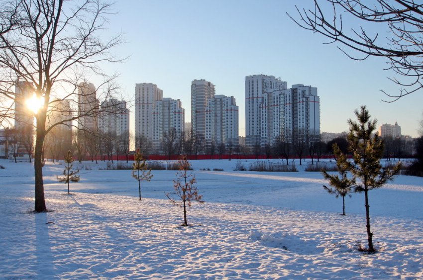 Сдана половина жилого комплекса Viva на границе с Пулковским парком - «Свежие новости строительства»