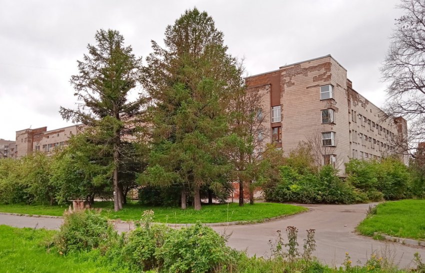 Советский родильный дом на улице Вавиловых вновь собираются снести - «Свежие новости строительства»