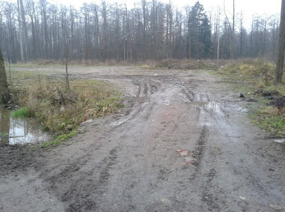 Участок под спорткомплекс в Лисьем Носу могут забрать у инвестора - «Свежие новости строительства»