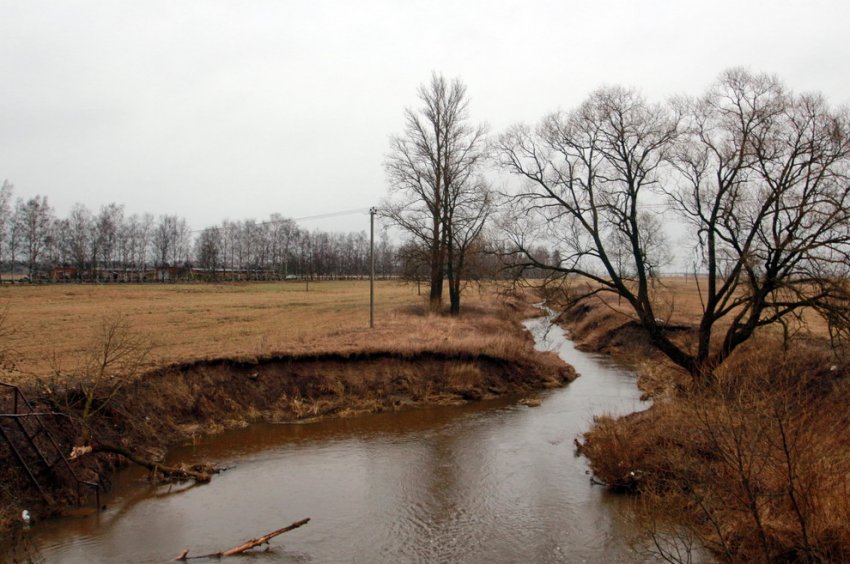 СПбГУ собирается построить кампус в Пушкинском районе - «Свежие новости строительства»