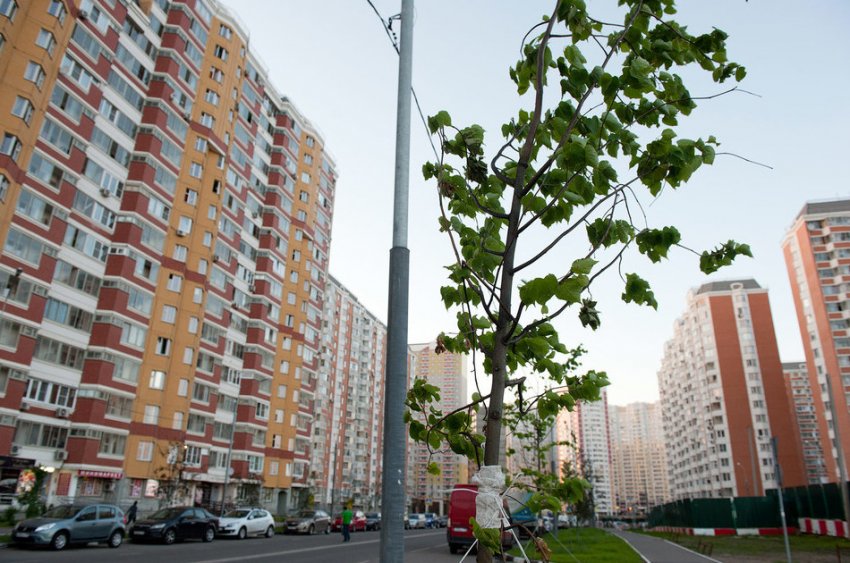 Ввод жилья–2017: почему Минстрой занижает прогнозы — чтобы лучше отчитаться? - «Новости рынка недвижимости»