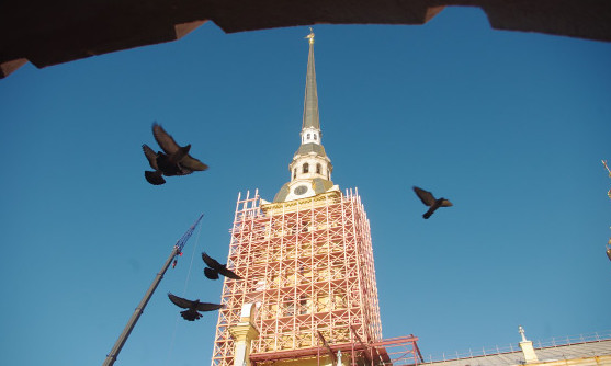 Фасады Петропавловского собора отреставрируют к декабрю - «Свежие новости строительства»