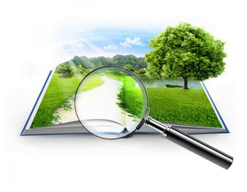 Оценочная деятельность разбалансирована государством - «Новости рынка недвижимости»