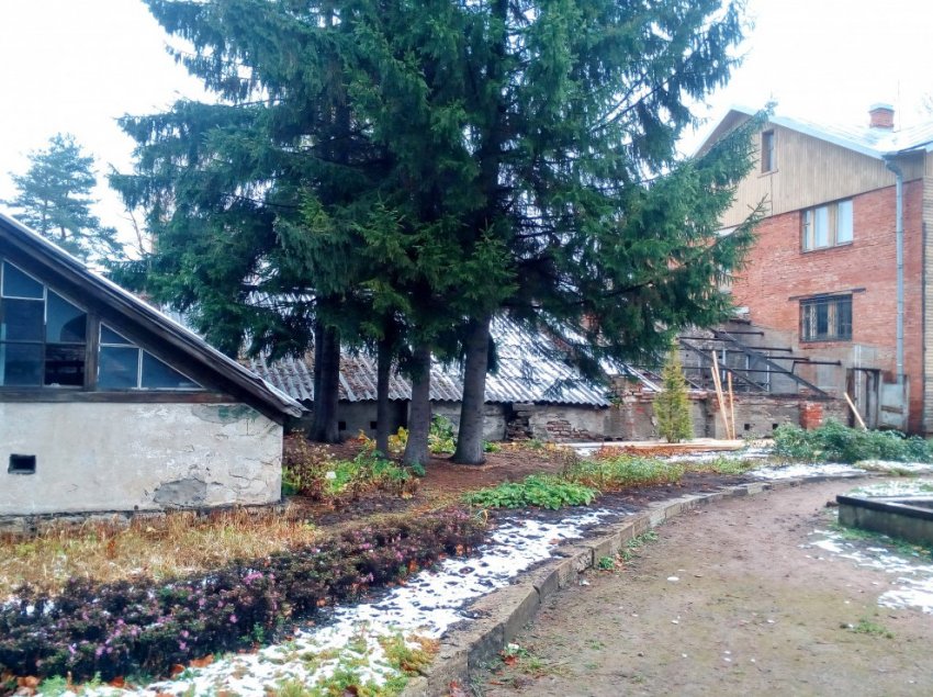 «Лесопилка» самовольно снесла оранжерею в Институтском переулке - «Свежие новости строительства»