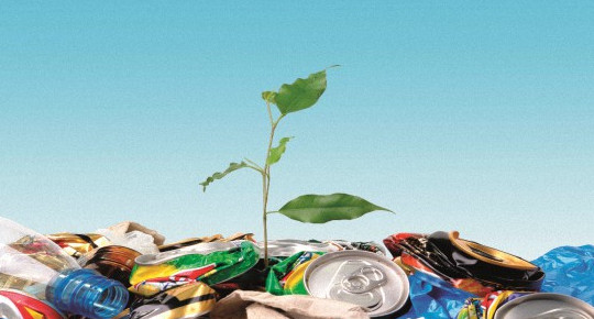 Экостроительство: Россия играет в зеленые игры, одновременно открывая новые свалки - «Технологии строительства»