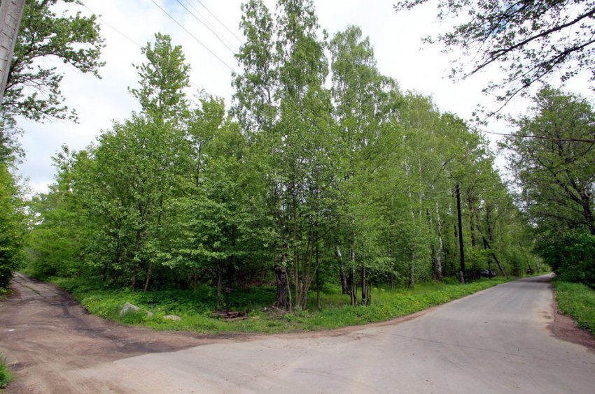 На Зеленом проспекте в Лисьем Носу может появиться жилой комплекс - «Свежие новости строительства»