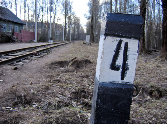 Смольный утвердил ликвидацию детской железной дороги в Озерках - «Свежие новости строительства»
