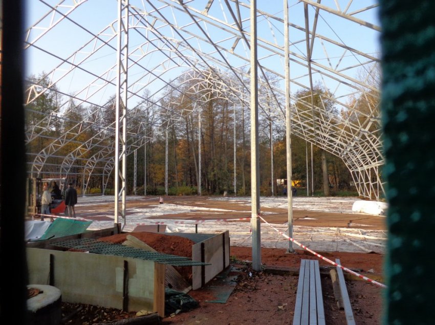 В парке «Дубки» в Сестрорецке незаконно строят навес над кортом - «Свежие новости строительства»