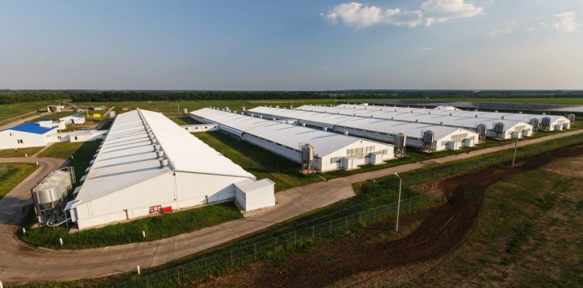 Как предотвратить продуктовые потери в зданиях сельхозназначения? - «Строительные Материалы»