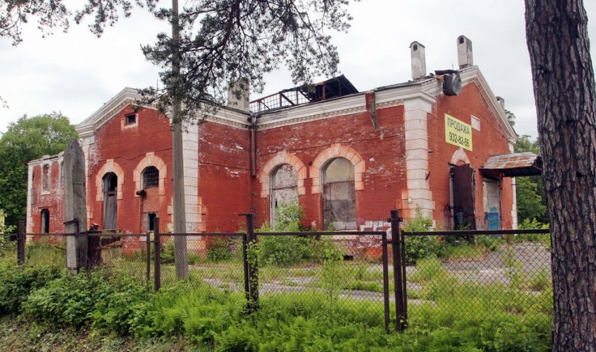 Электростанцию в парке «Зверинец» в Петергофе перепродают - «Свежие новости строительства»