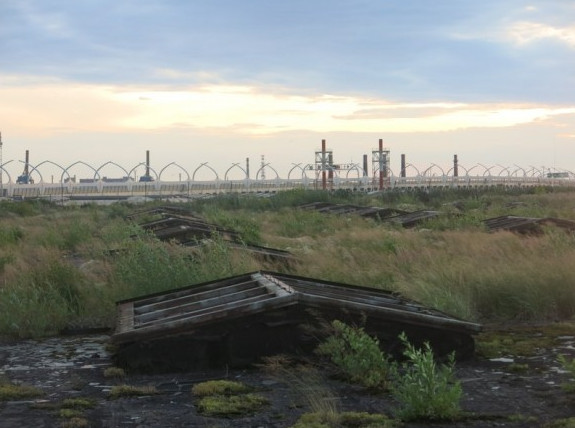 У Кировского завода растет самая большая «зеленая» крыша Петербурга - «Свежие новости строительства»