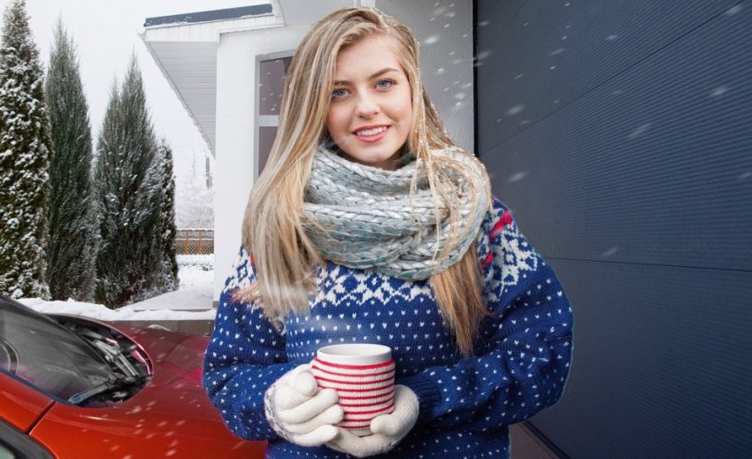 Ворота «АЛЮТЕХ»: теплее, чем за кладкой из кирпича - «Технологии строительства»