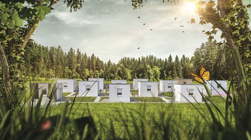 Секрет здорового дома разгадала компания Baumit - «Строительные Материалы»