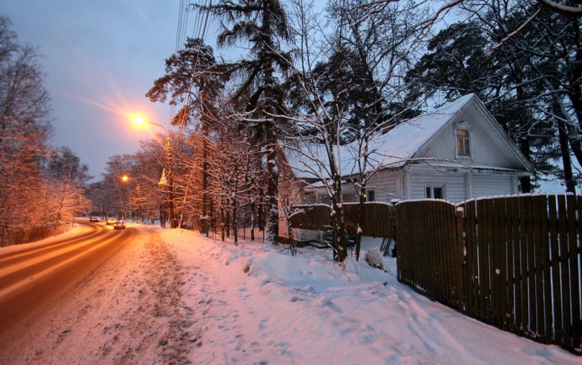 На месте двух дач на Приморском шоссе в Репине построят отель - «Свежие новости строительства»