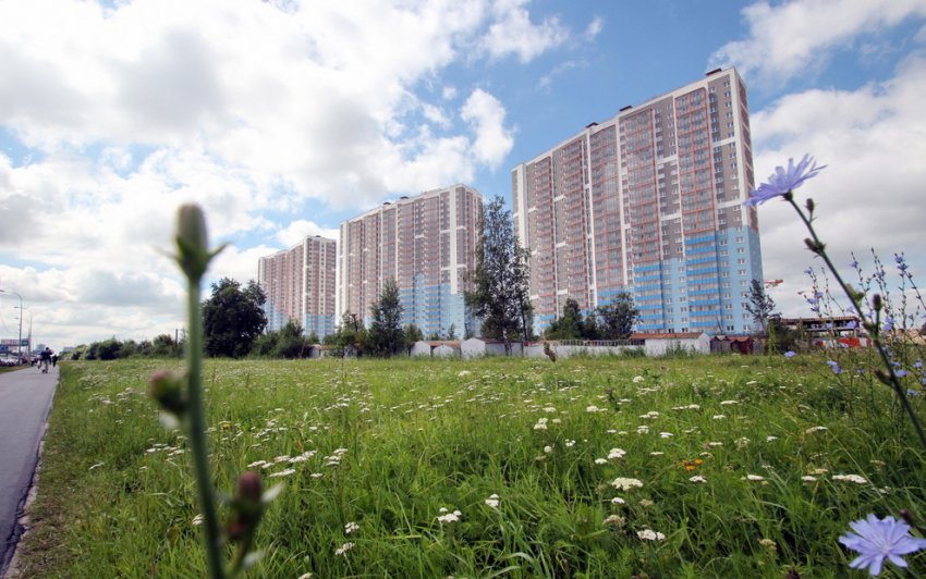 У метро «Купчино» сдали первый дом панельного «муравейника» на Витебском - «Свежие новости строительства»