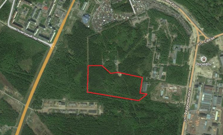 Лес в Ломоносове вырубят ради Крыловского научного центра - «Свежие новости строительства»