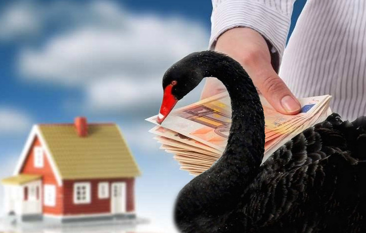 «Черный лебедь» прилетел: в какую недвижимость лучше вложиться в кризис - «Новости рынка недвижимости»