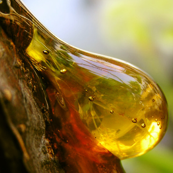 Экология битума - «Строительные Материалы»