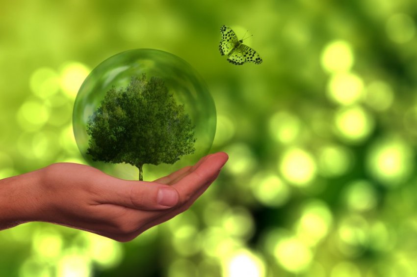 Экология битума - «Строительные Материалы»