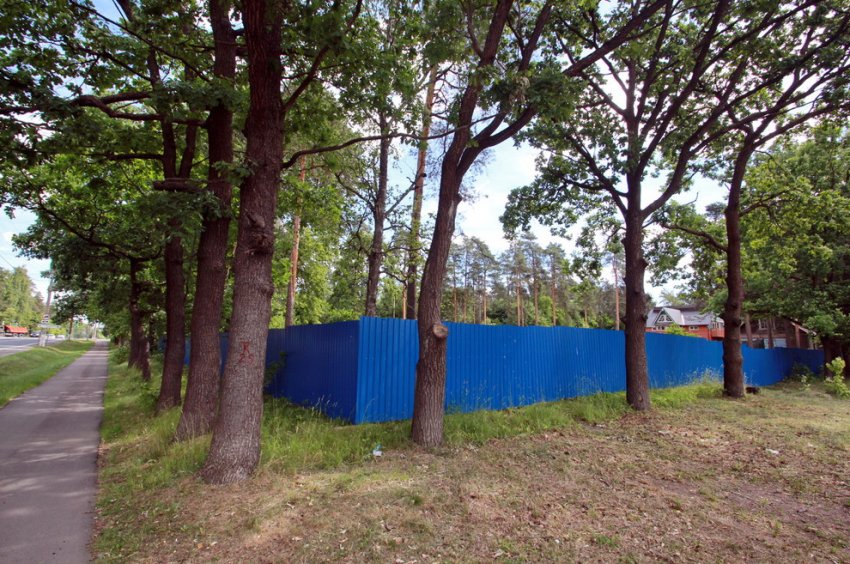 На Советской улице в Песочном построят магазин - «Свежие новости строительства»