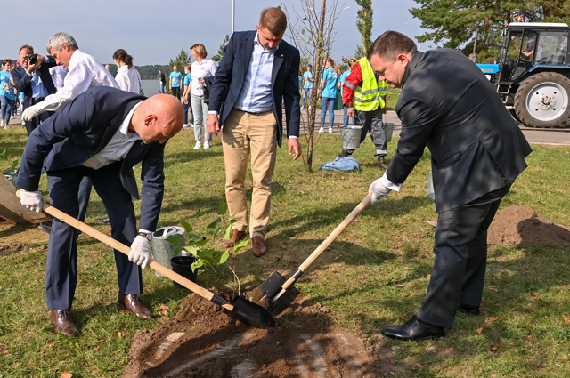 Аллея дружбы. На набережной Калуги высадили сирень - «Недвижимость»