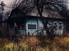 Больше в деревне никто не живет. Как можно стать владельцем заброшенной недвижимости - «Дайджест»