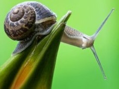 Цены на жилье будут расти, но мееедленно - «Аналитика рынка»