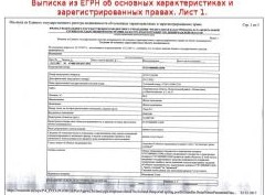 Что в выписке ЕГРН должно насторожить собственника недвижимости - «Дайджест»