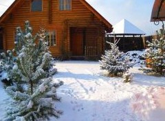 Дачную амнистию продлили: как упрощенно зарегистрировать дом - «Дайджест»