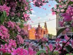 Инерционный рост цен продолжается. Обзор рынка недвижимости Москвы по итогам мая 2021 года - «Аналитика рынка»