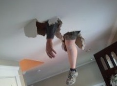 Эксперт объяснил, чем грозит новый закон о соседях - «Дайджест»