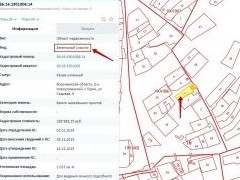 Эксперты разъяснили, как внести дом или дачу в Публичную кадастровую карту - «Дайджест»