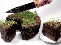 Как бороться с самозахватом земли общего пользования? - «Дайджест»