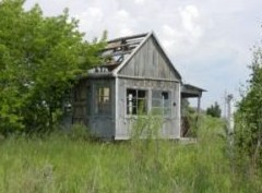 Как начать пользоваться заброшенным дачным участком - «Дайджест»