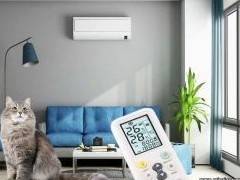 Как создать в квартире здоровый микроклимат - «Дайджест»