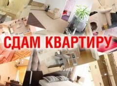 Как вычислить фейковое объявление об аренде квартиры - «Риэлторские технологии»